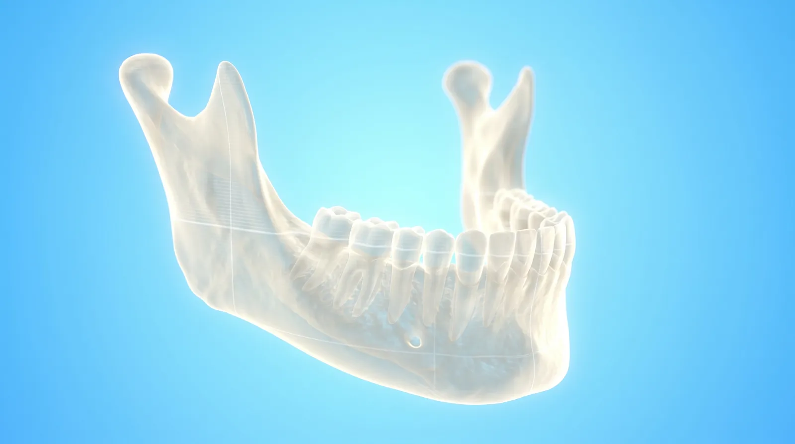 A see-through scan model of a lower jaw with the tooth roots visible inside