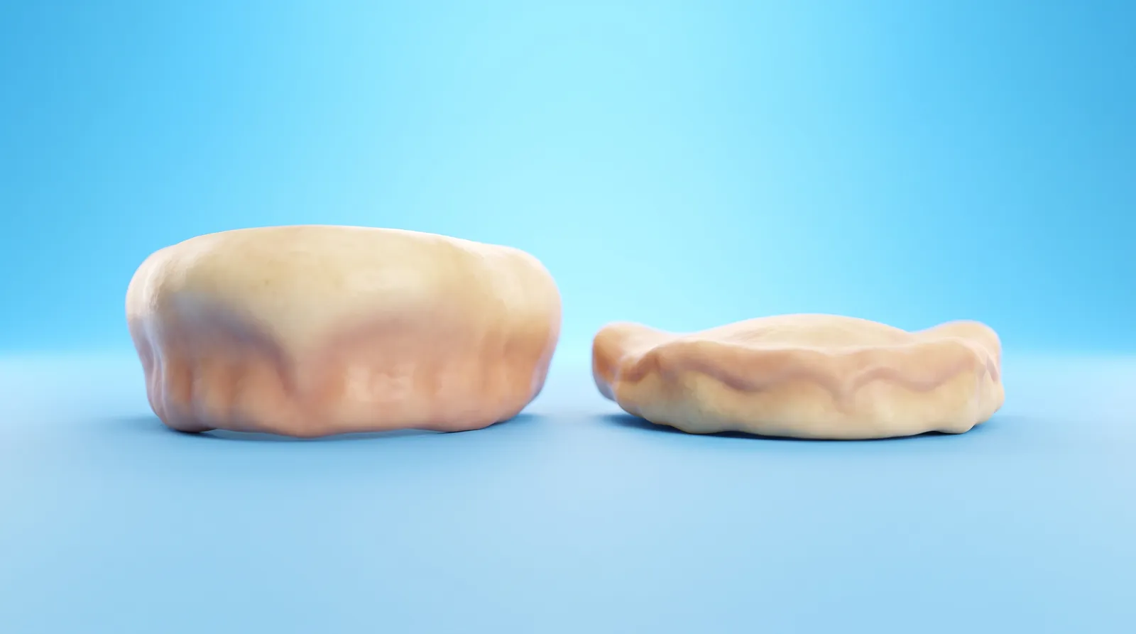 Two bare toothless gum ridges side by side, the left tall and rounded, the right lower and flatter