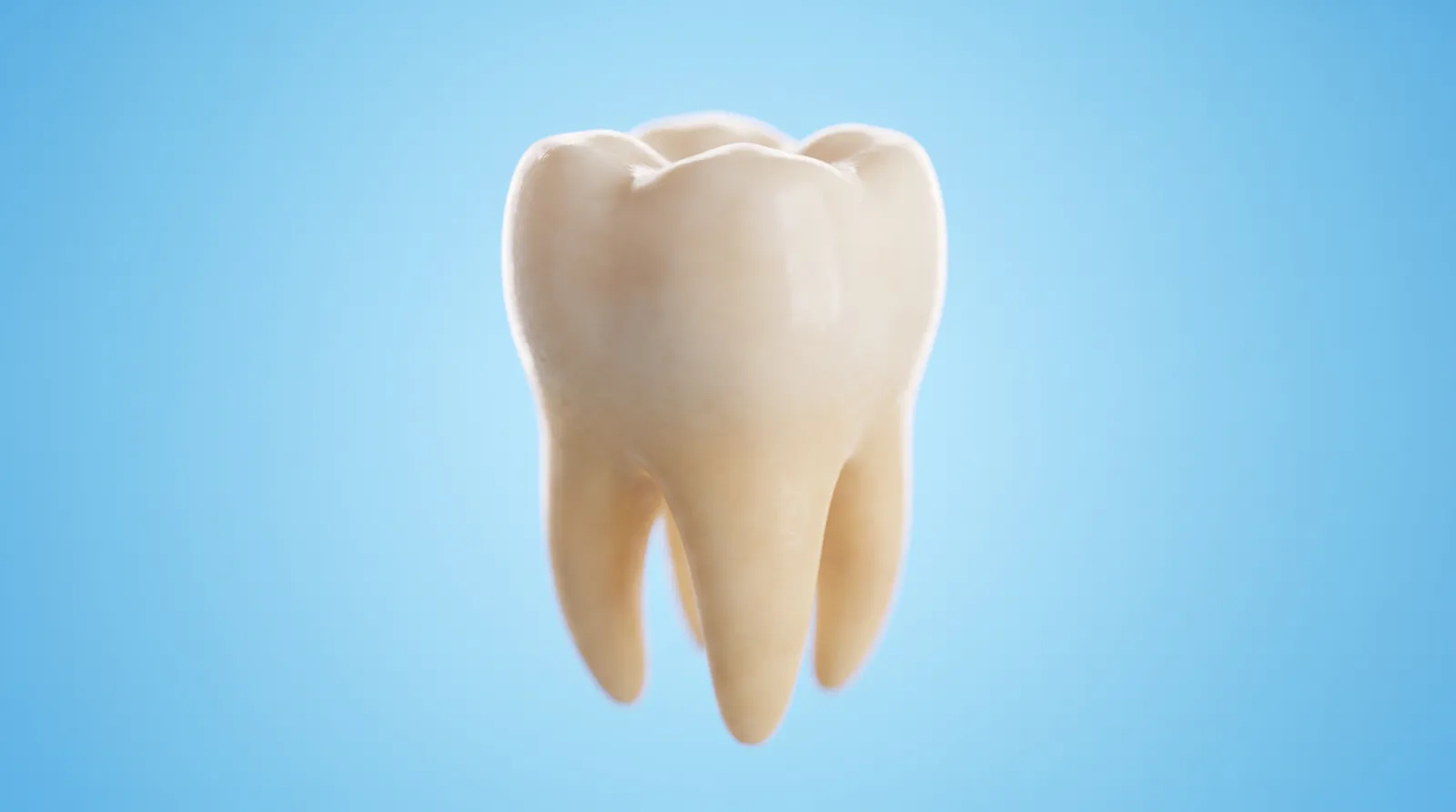 A single tooth model alone in a wide empty frame