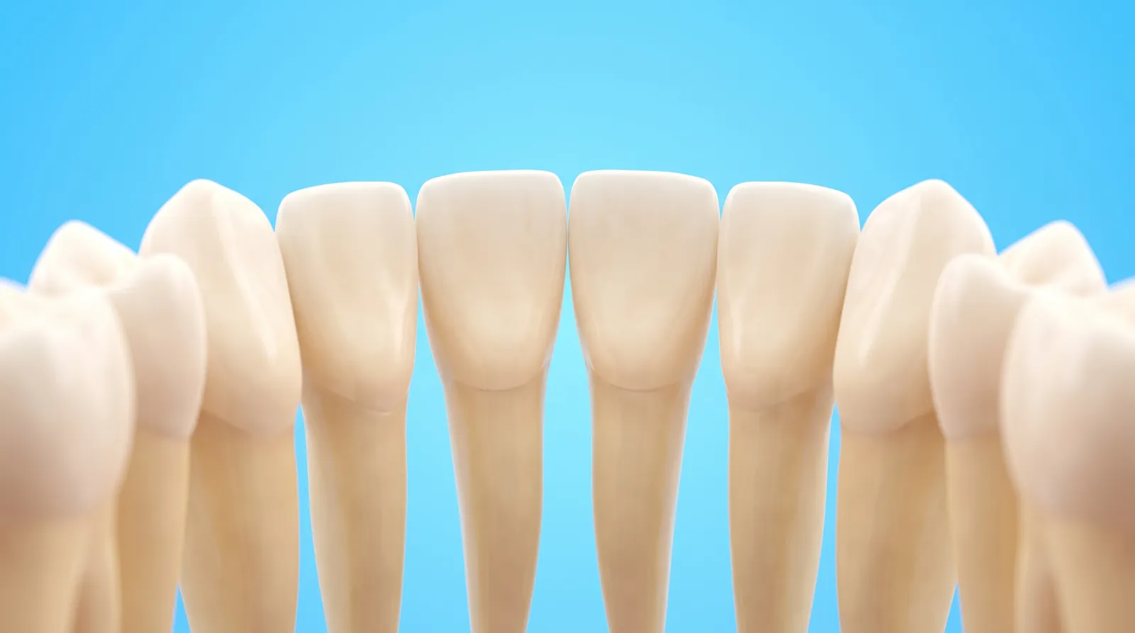 A row of upper front teeth where each one is a slightly different shade of white