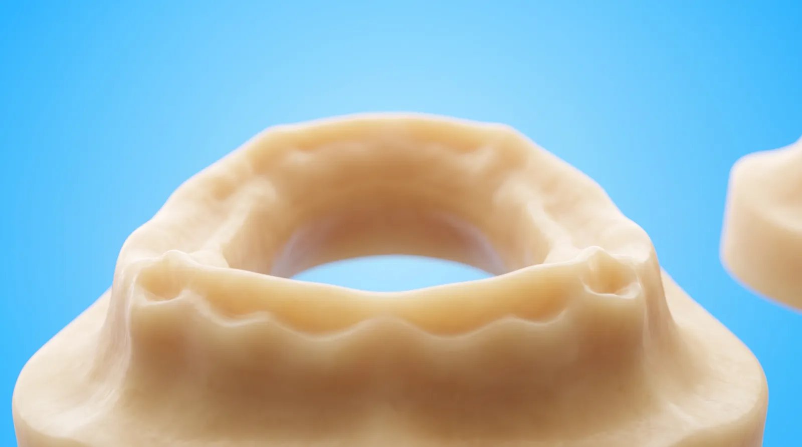 An empty dental arch model with no teeth in it, just the bare curved ridge