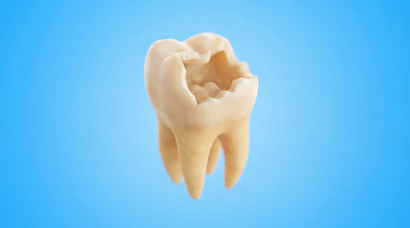 One badly broken molar with a large piece missing from its crown