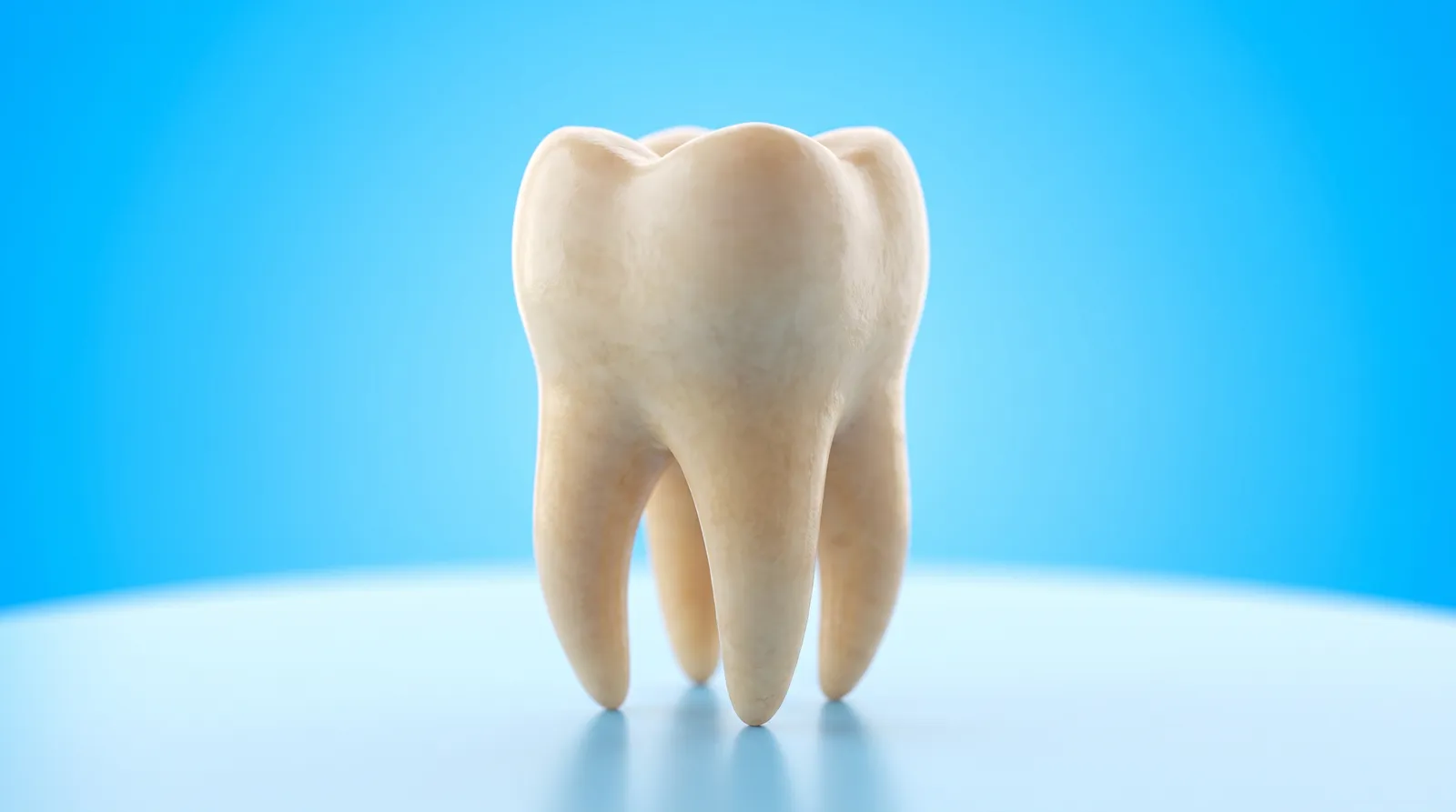 A single extracted molar with its roots, resting on a clean surface